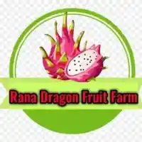 Rana Dragon fruit Farm