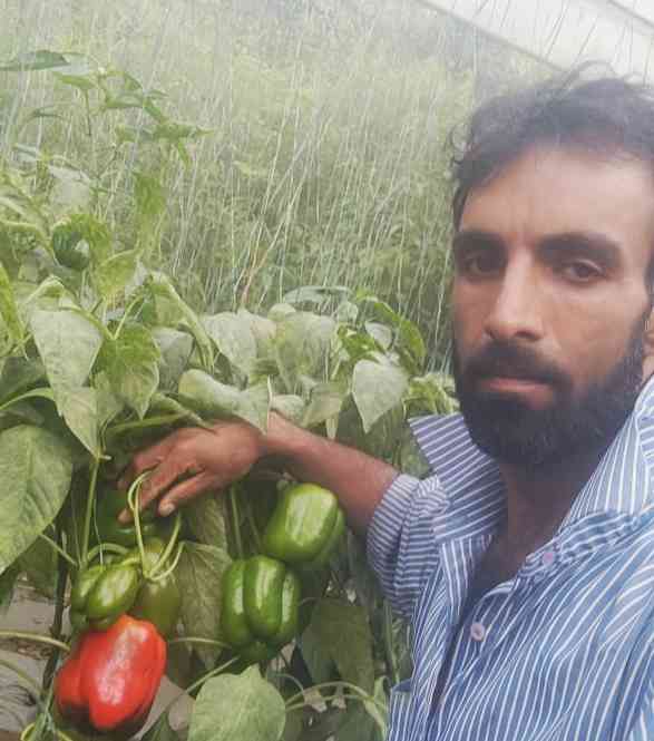 Sanjay Natural Farms