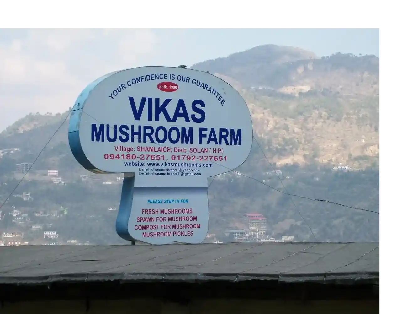 Vikas Mushroom Farm