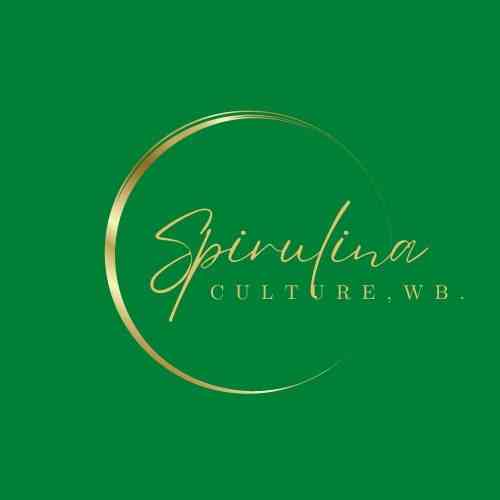 Spirulina culture Farm