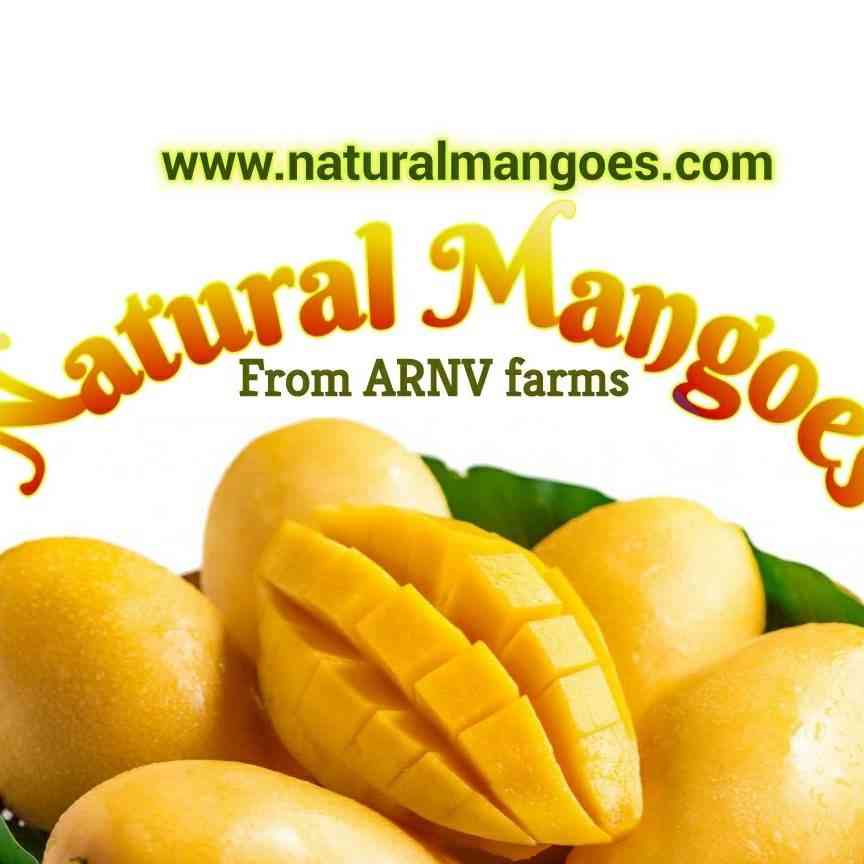Natural Mangoes Farm