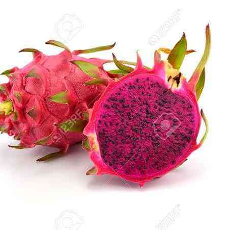 MVR Dragon Fruit farm