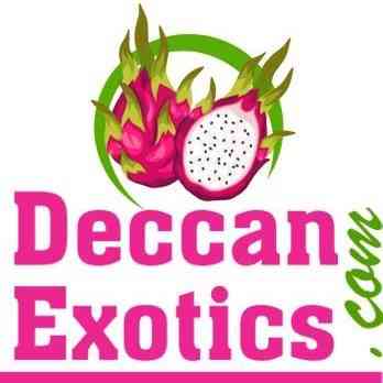 Deccan Exotics Dragon Fruit Farm