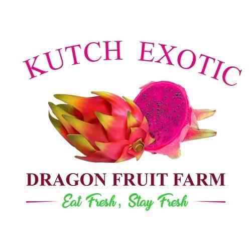 Kutch Exotic Dragonfruit Farm