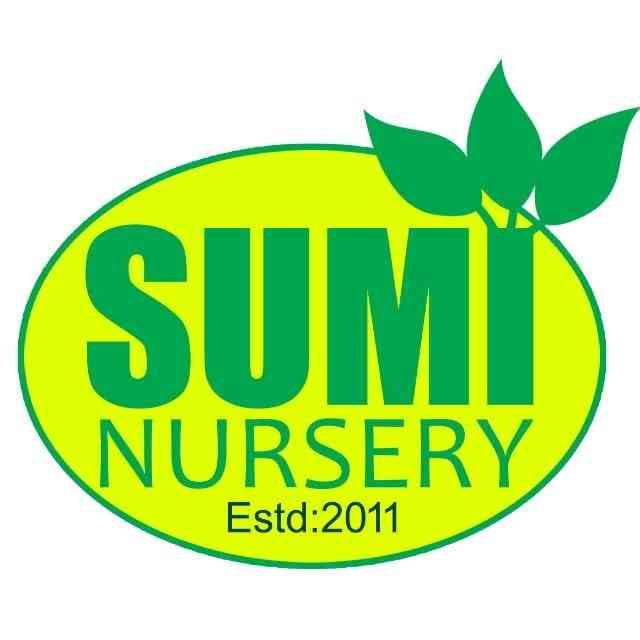 Sumi Nursery