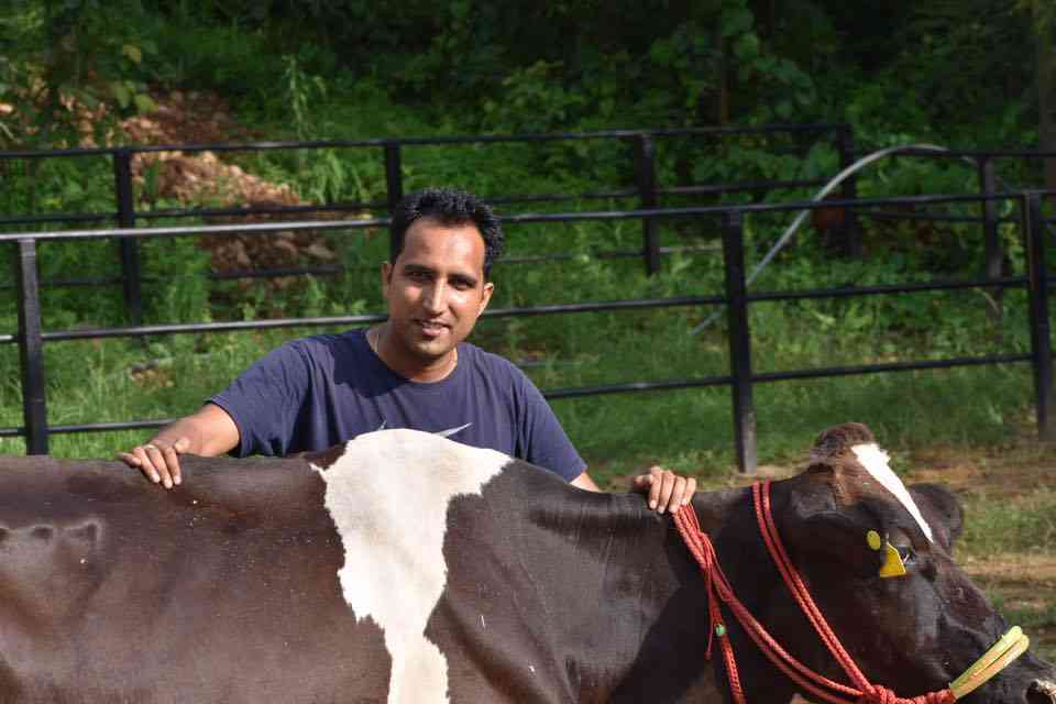 Sandhu Dairy Farm
