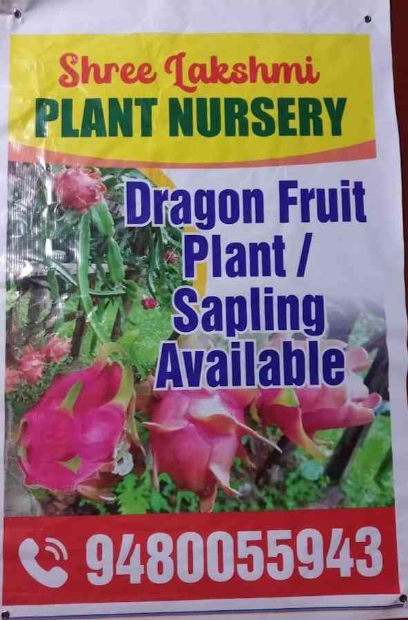 Laxmi Plant Nursery