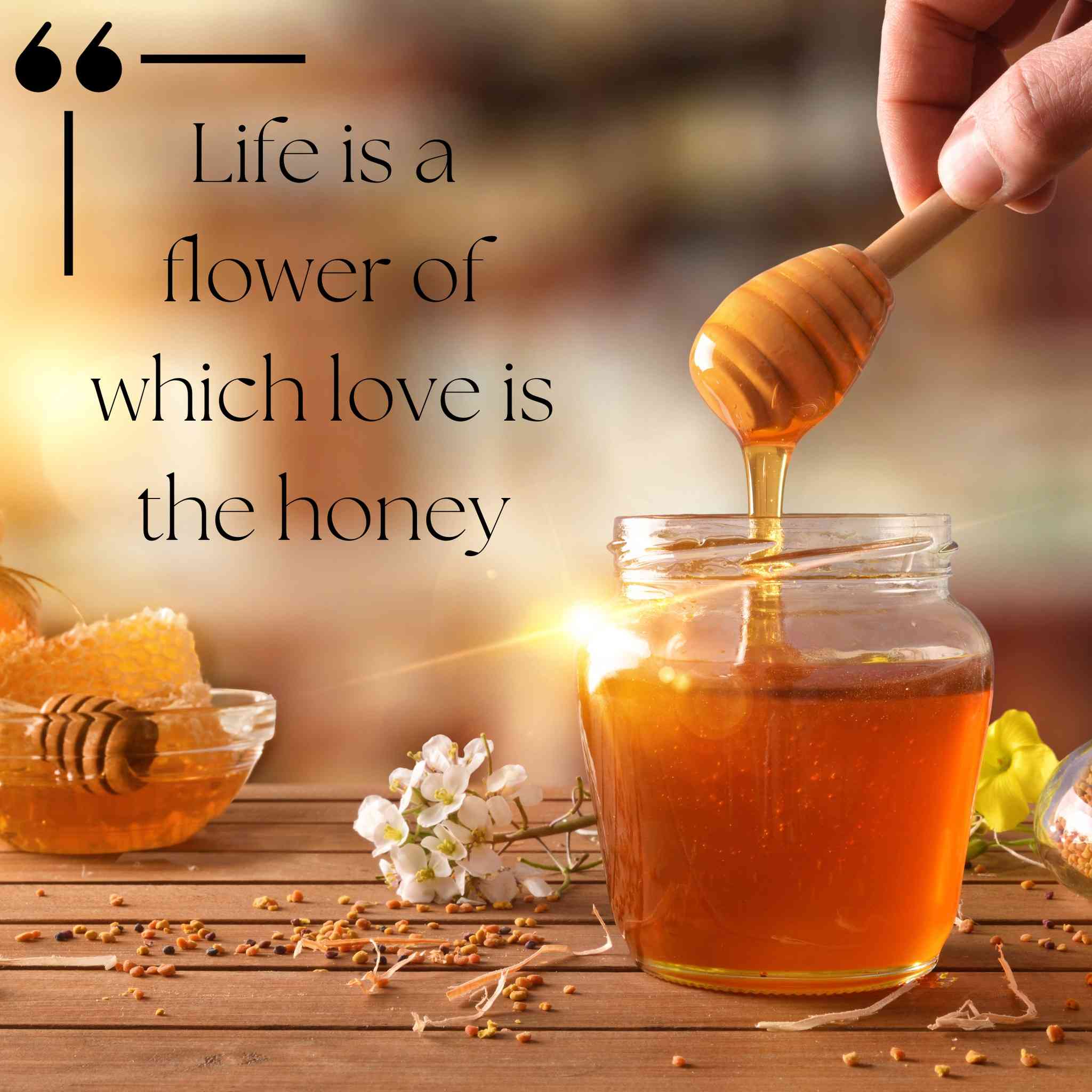 Aravali Honey