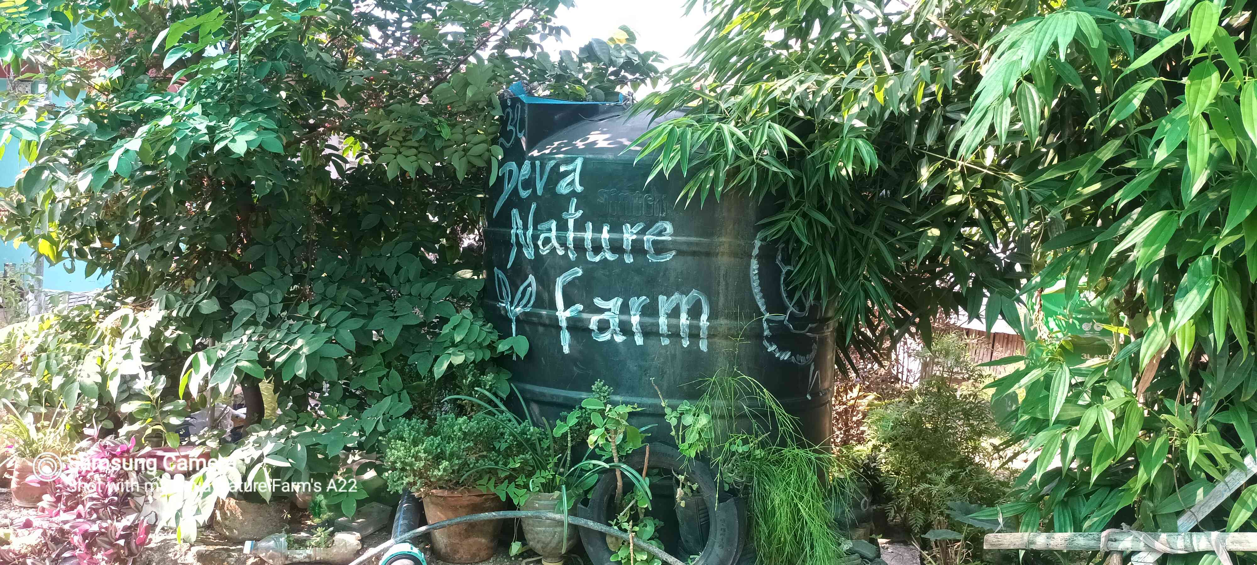 Deva Nature Farm