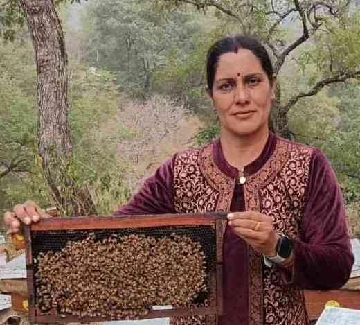 Shimla Honey