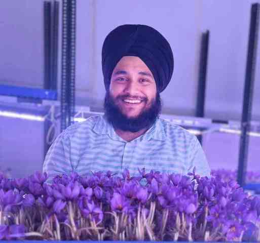 SINGH SAFFRON