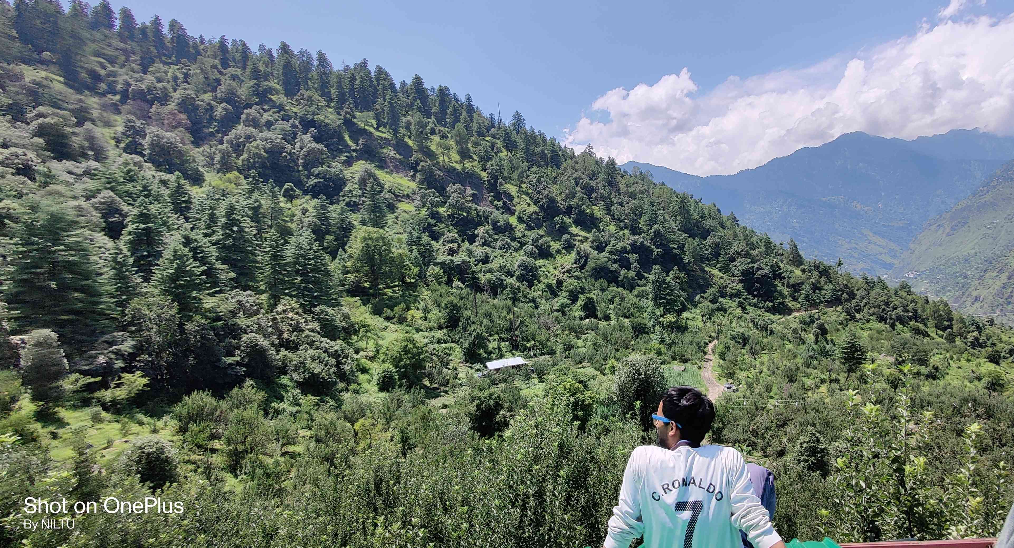 Niltu Orchards
