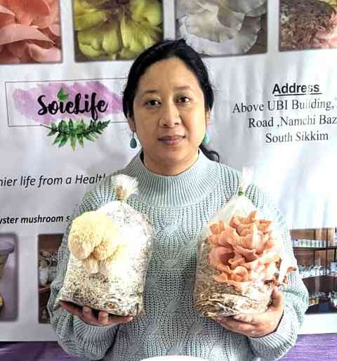 Soielife Mushroom