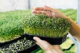 Redefined Farming
