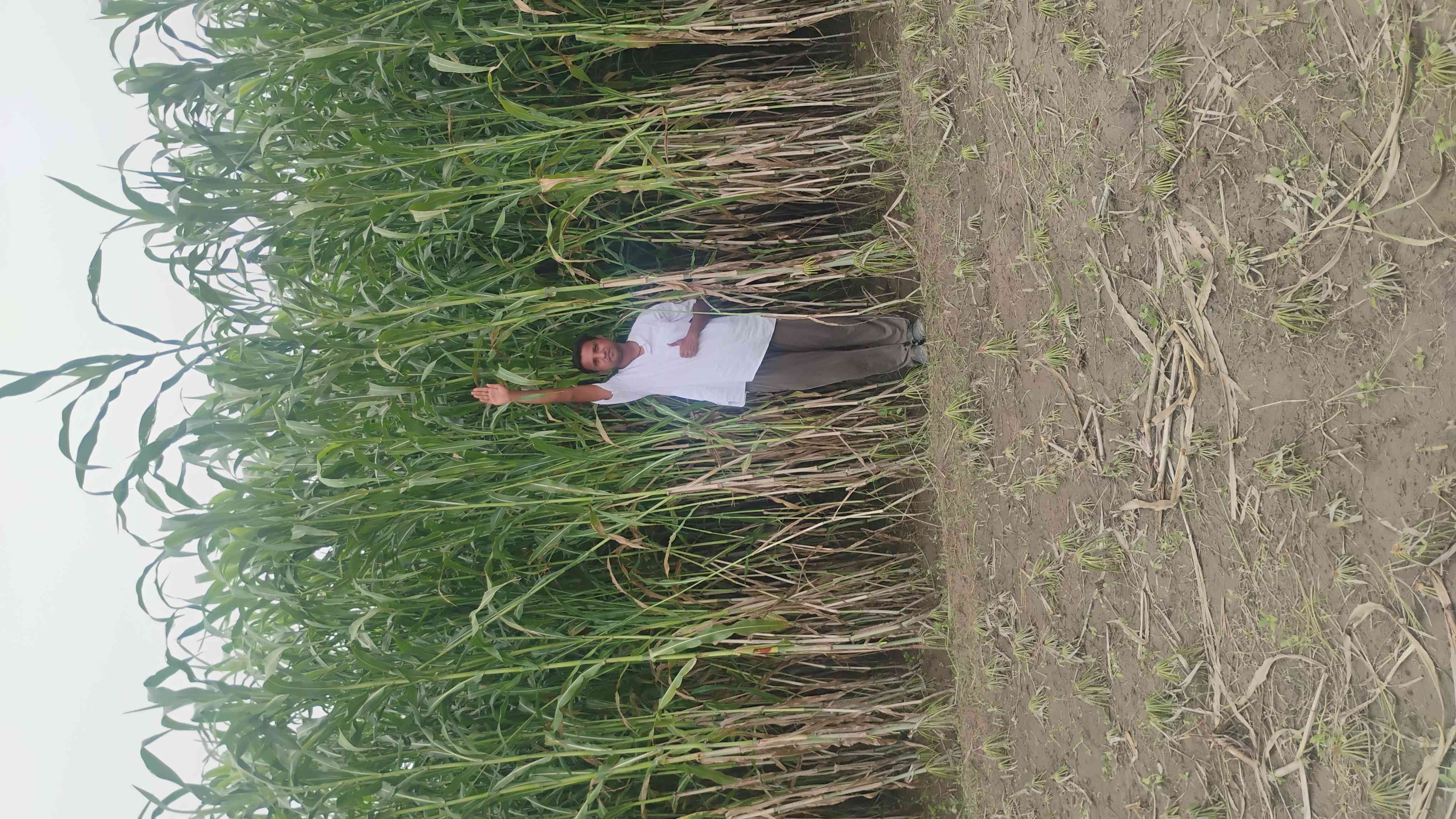 pahelwan kisan