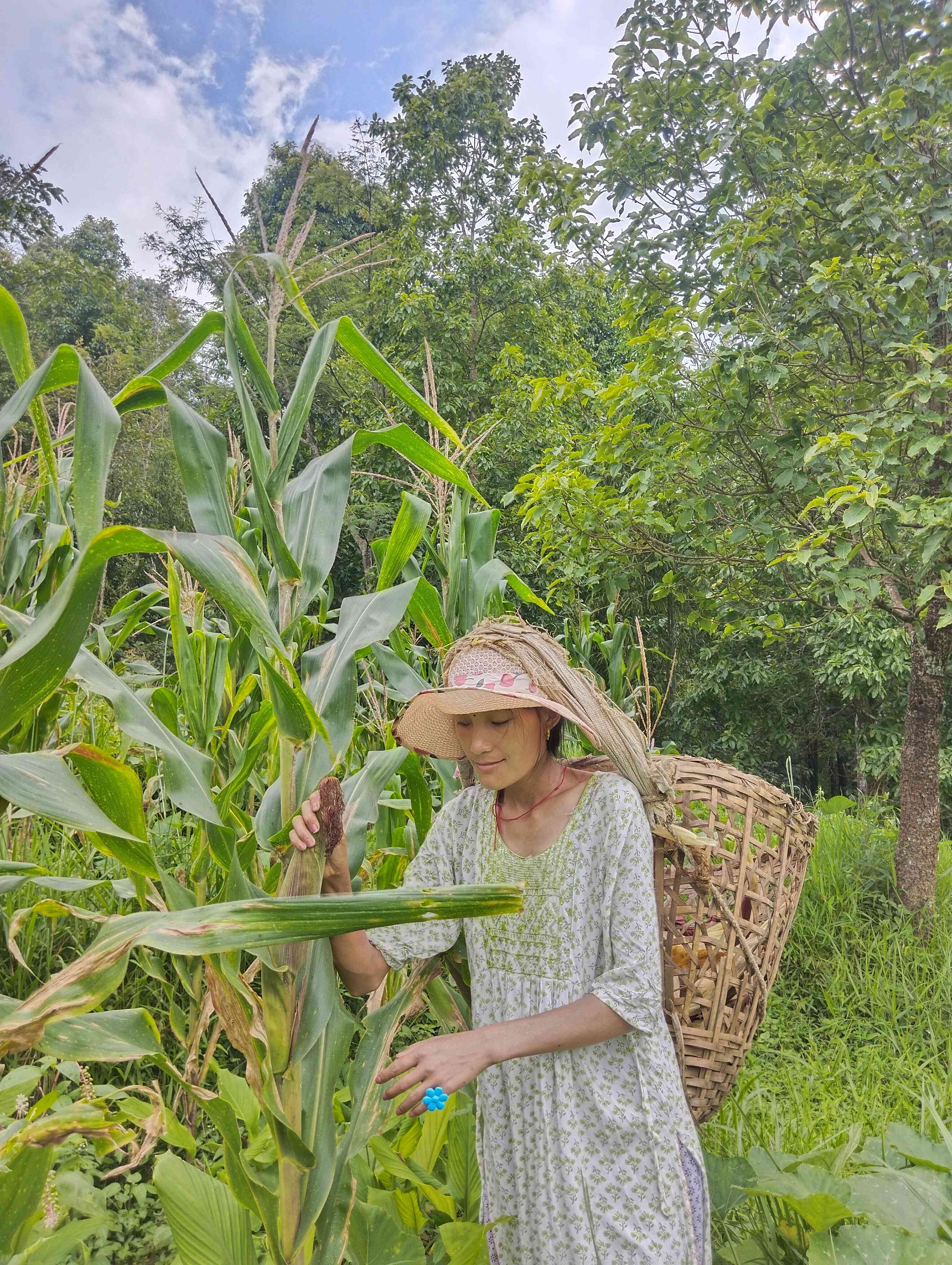 Farmer's daughter