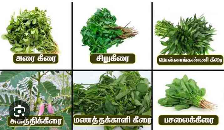kanagaraj
