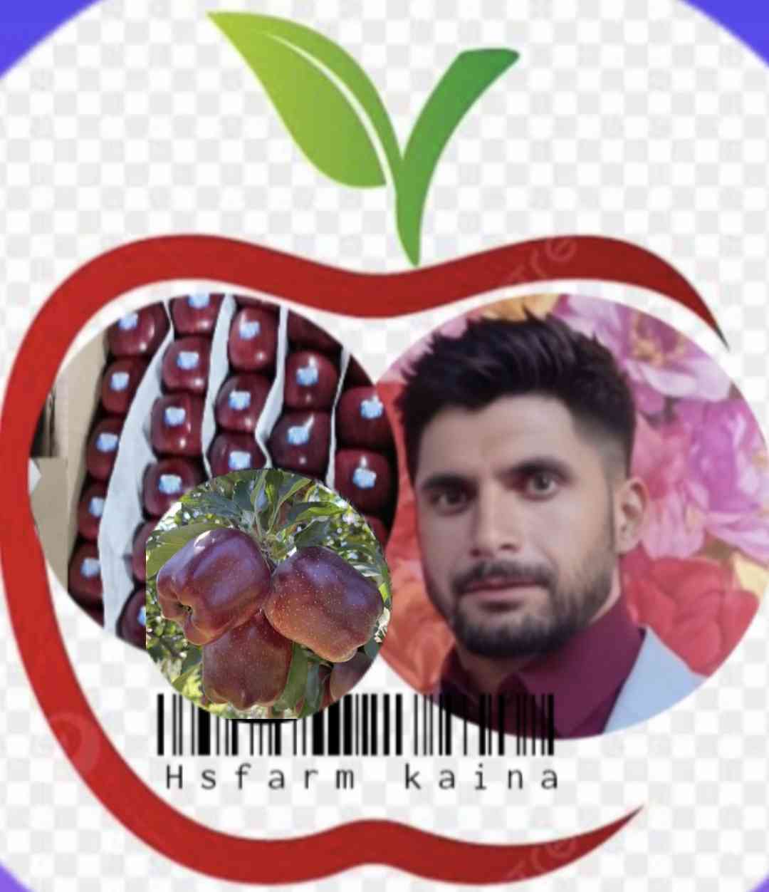 HS FARM JUBBAL(KAINA)