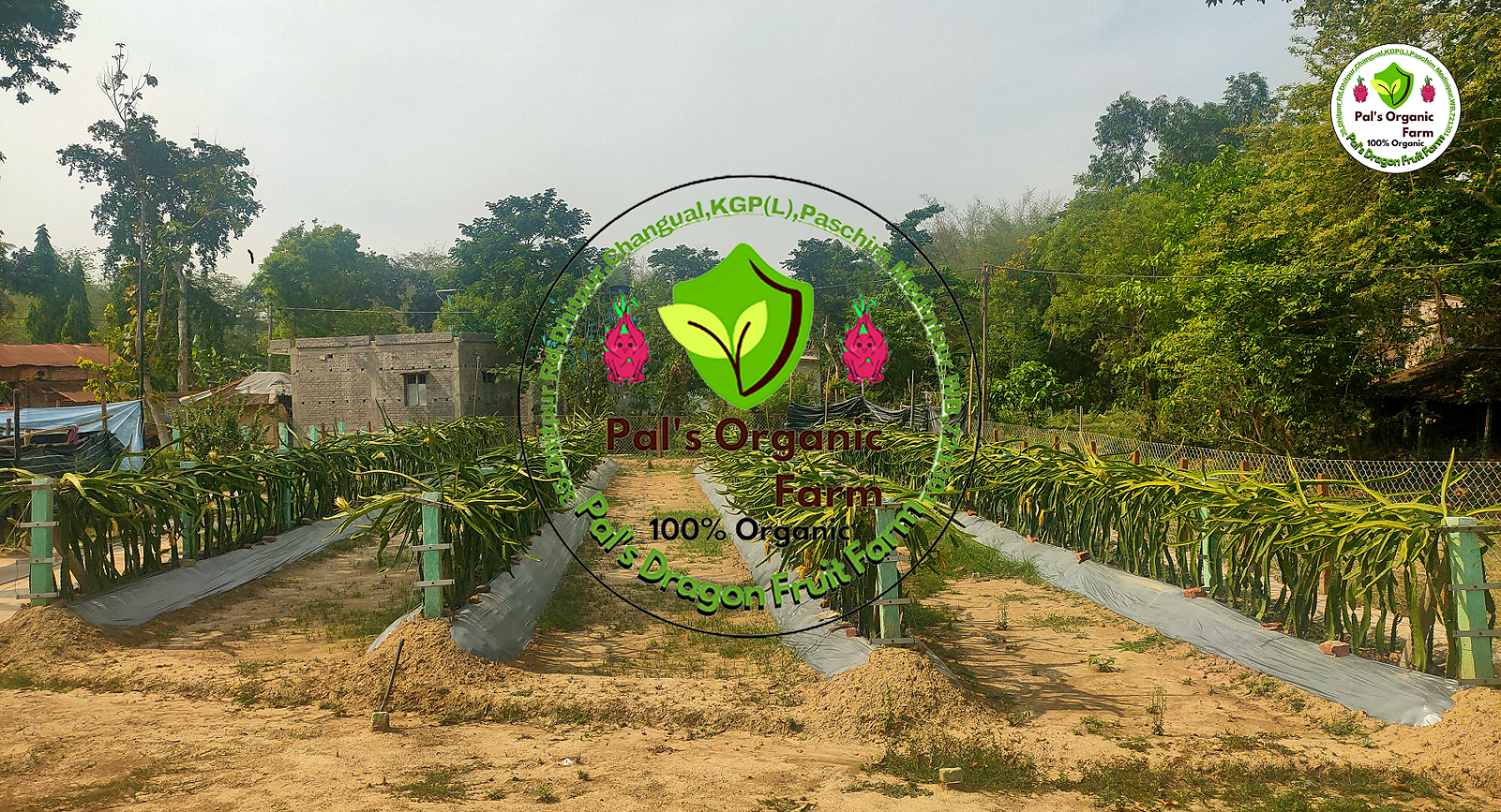 Slide Image