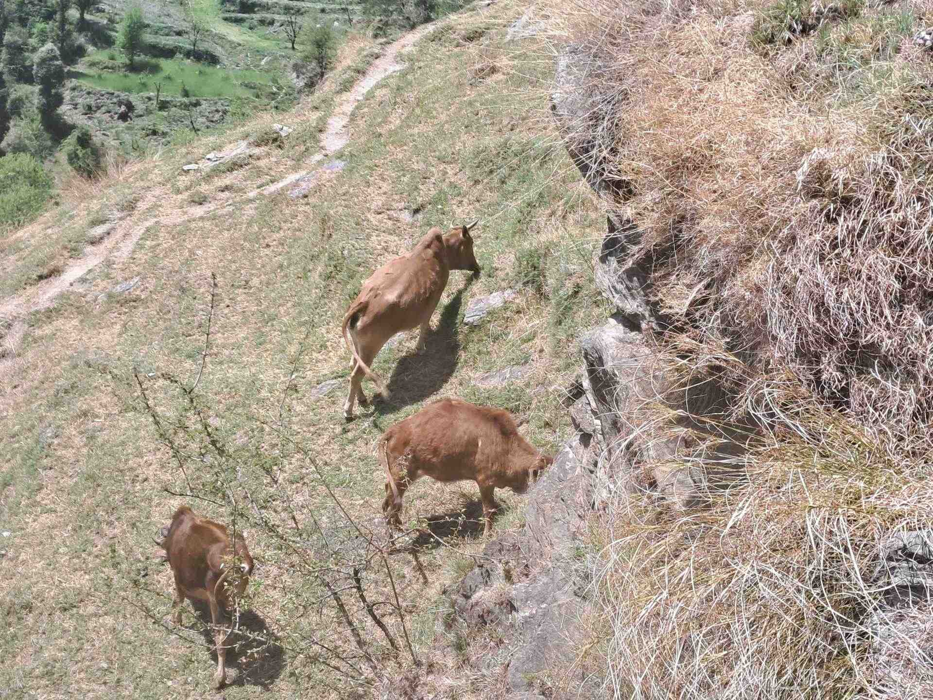 Slide Image