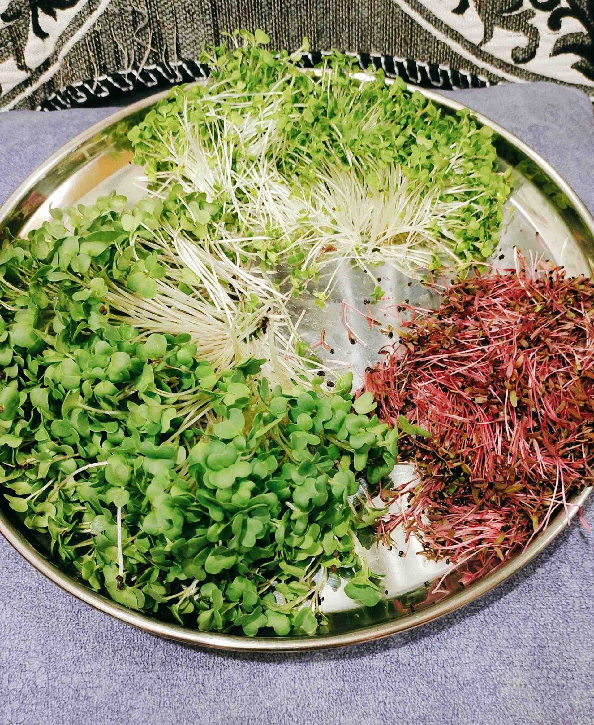 Slide Image