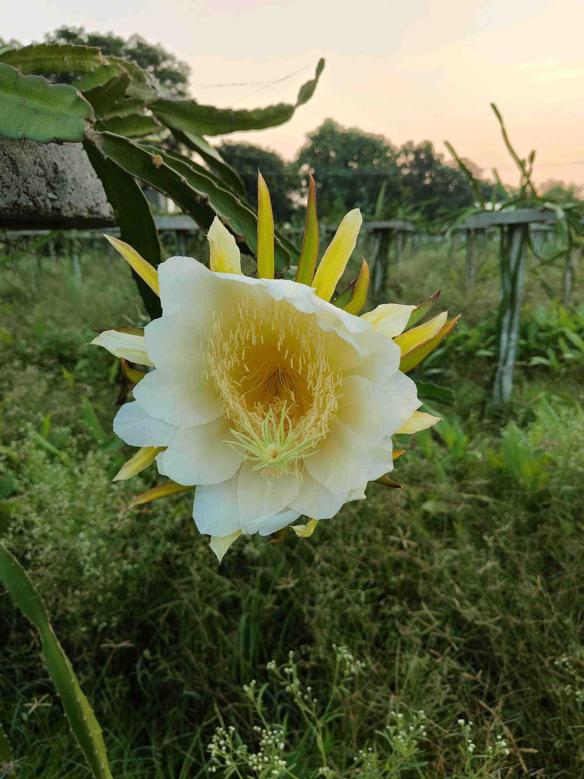 Feature Image