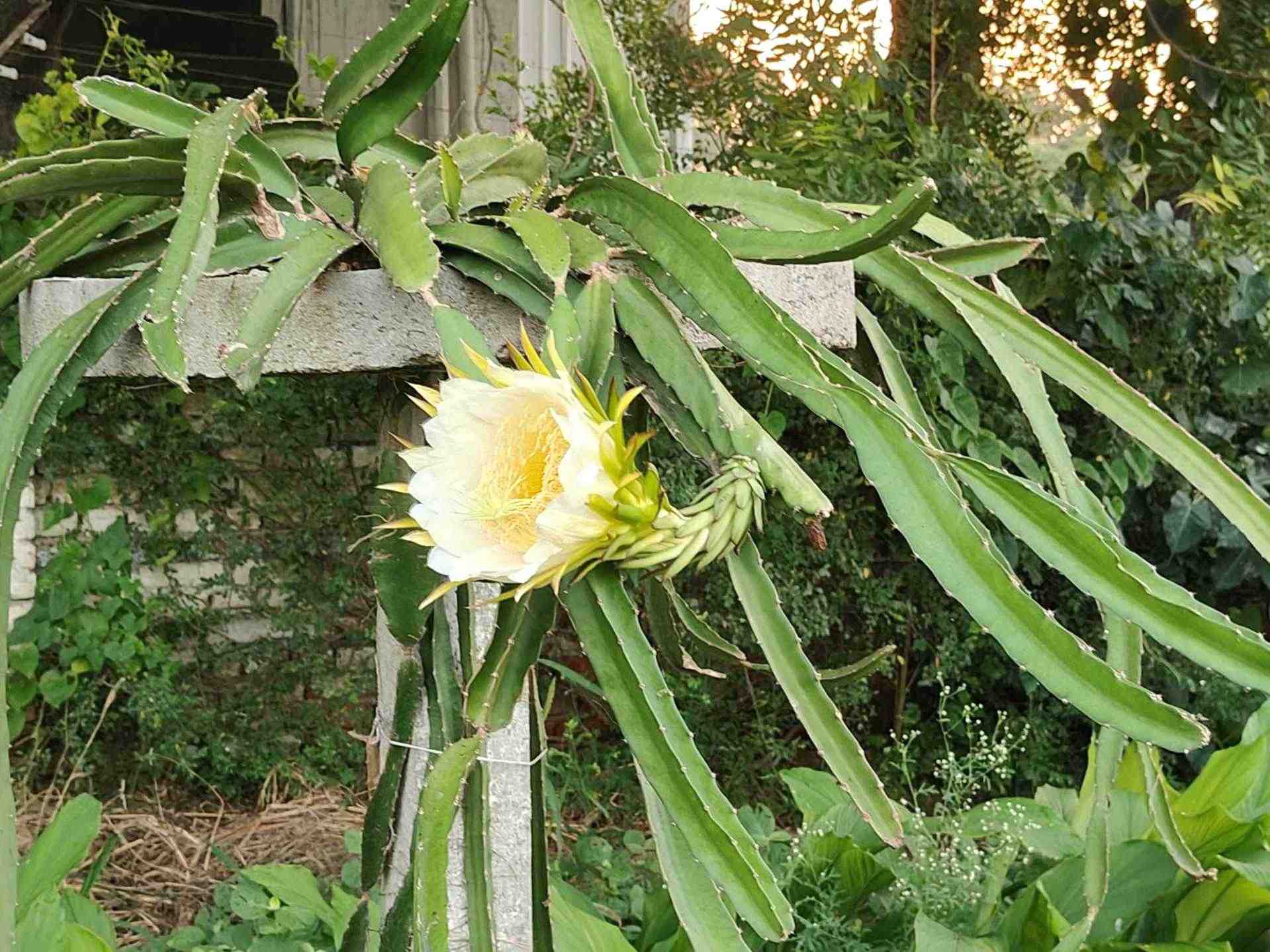 Slide Image